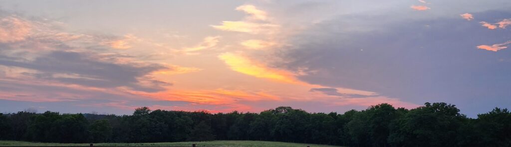 Sunset Connections Connection And Synergy